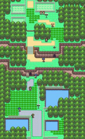 sea incense bdsp|Sinnoh Route 204 .